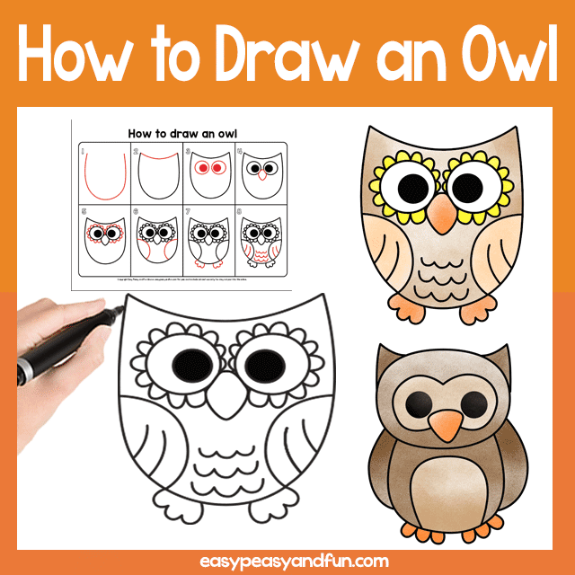 Guided Drawing Lesson Owl