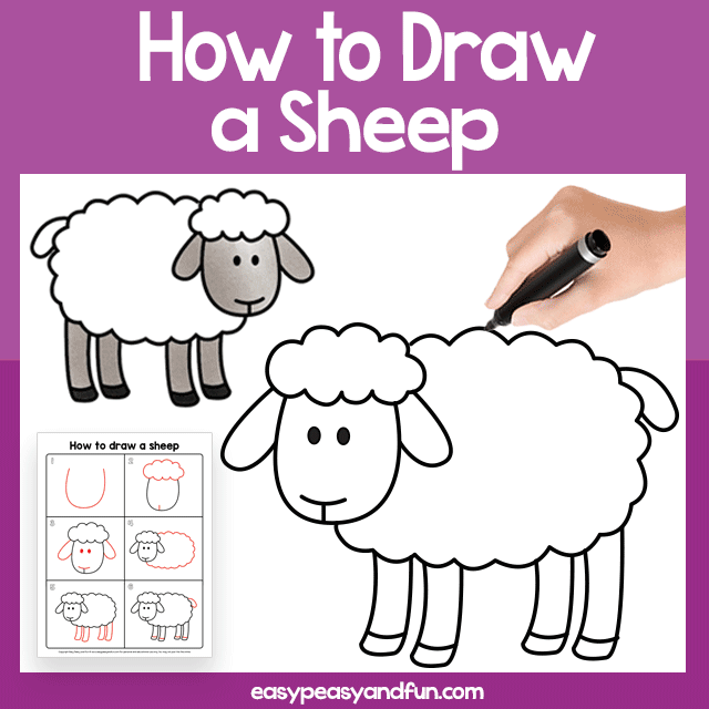 Sheep Guided Drawing Printable