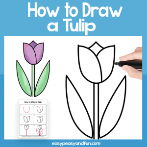 Tulip Guided Drawing Printable