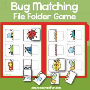 Bug Matching File Folder Game