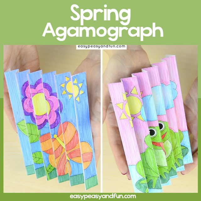 Spring Agamograph