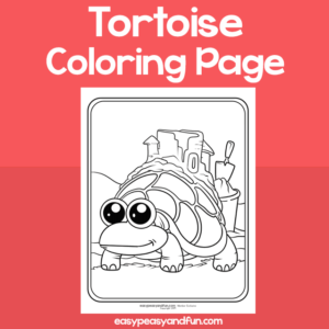 Tortoise - Coloring Pages