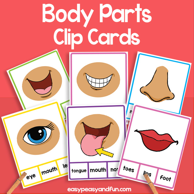 Parts of the Body Clip Cards