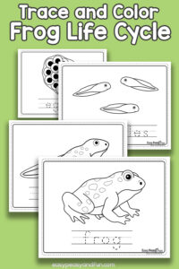 Vocabulary Frog Life Cycle Coloring Pages – Easy Peasy and Fun Membership