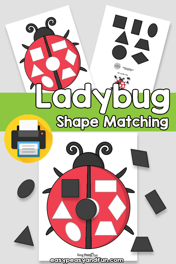 Ladybug Shape Matching Activity