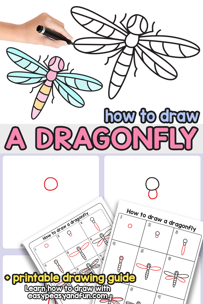 How to Draw a Dragonfly Step by Step Tutorial