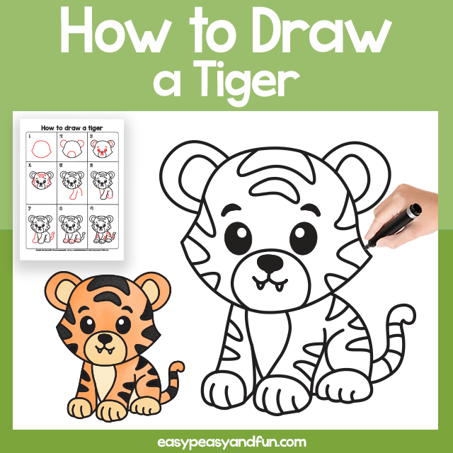 Tiger Guided Drawing Printable