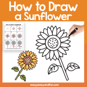 Sunflower Guided Drawing Printable