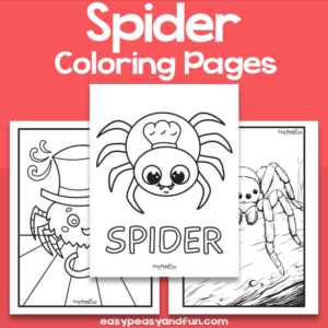 Printable Spider Coloring Sheets