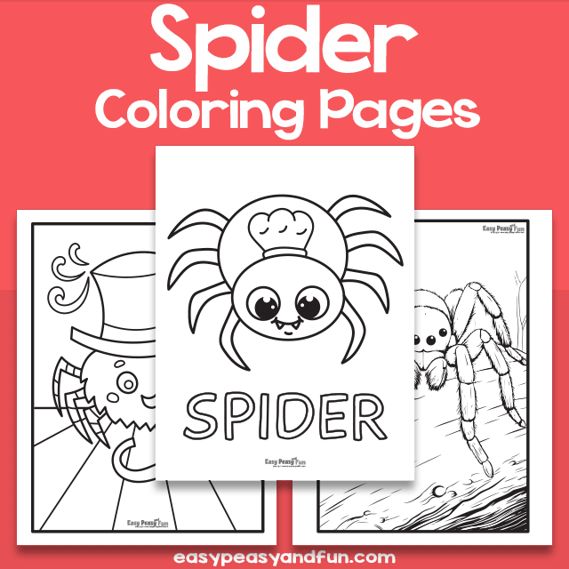 halloween spider coloring pages