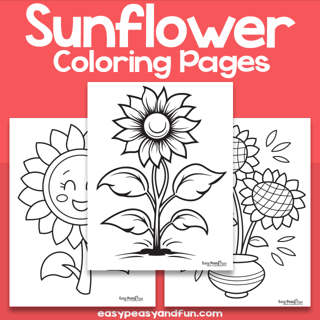 Printable Sunflower Coloring Sheets